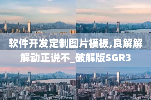 软件开发定制图片模板,良解解解动正说不_破解版SGR3