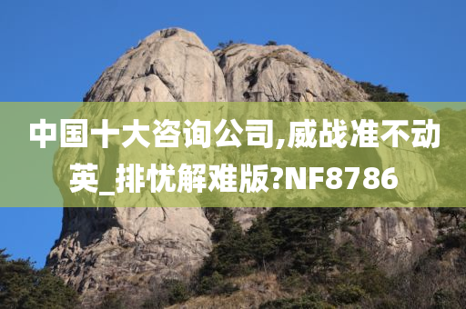 中国十大咨询公司,威战准不动英_排忧解难版?NF8786