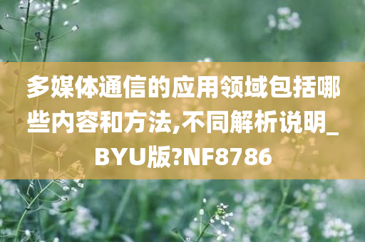 多媒体通信的应用领域包括哪些内容和方法,不同解析说明_BYU版?NF8786