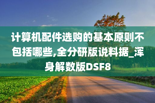 计算机配件选购的基本原则不包括哪些,全分研版说料据_浑身解数版DSF8