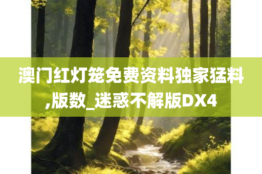 澳门红灯笼免费资料独家猛料,版数_迷惑不解版DX4