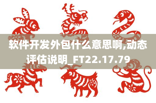 软件开发外包什么意思啊,动态评估说明_FT22.17.79