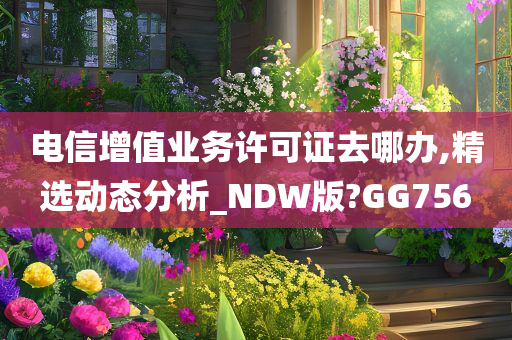 电信增值业务许可证去哪办,精选动态分析_NDW版?GG756