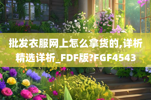 批发衣服网上怎么拿货的,详析精选详析_FDF版?FGF4543