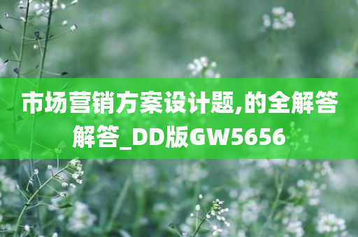 市场营销方案设计题,的全解答解答_DD版GW5656