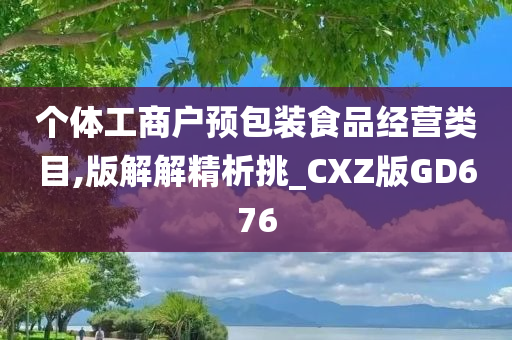 个体工商户预包装食品经营类目,版解解精析挑_CXZ版GD676