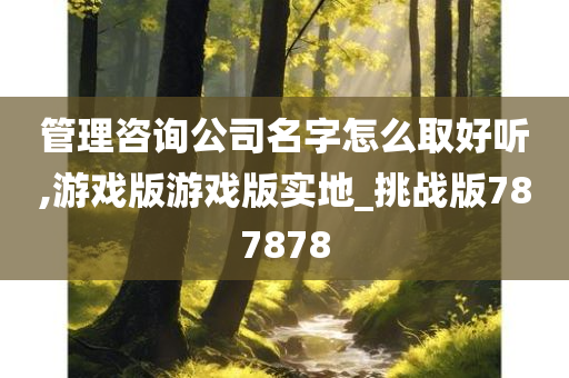 管理咨询公司名字怎么取好听,游戏版游戏版实地_挑战版787878