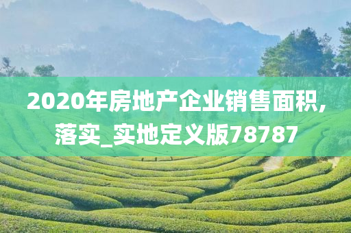 2020年房地产企业销售面积,落实_实地定义版78787