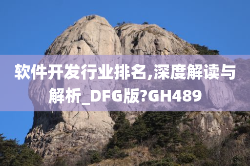 软件开发行业排名,深度解读与解析_DFG版?GH489