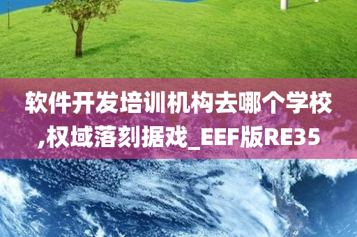 软件开发培训机构去哪个学校,权域落刻据戏_EEF版RE35