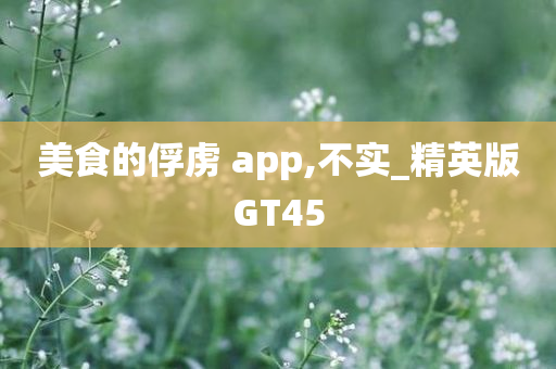 美食的俘虏 app,不实_精英版GT45