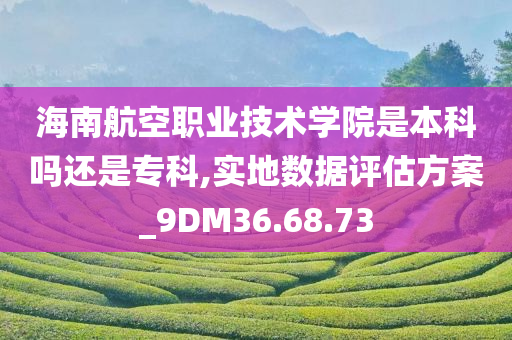 海南航空职业技术学院是本科吗还是专科,实地数据评估方案_9DM36.68.73