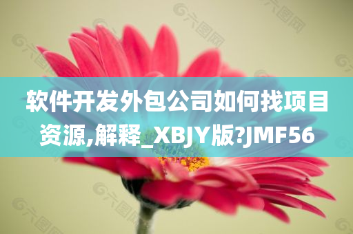 软件开发外包公司如何找项目资源,解释_XBJY版?JMF56