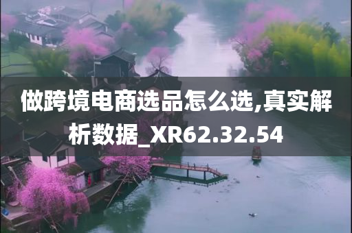 做跨境电商选品怎么选,真实解析数据_XR62.32.54