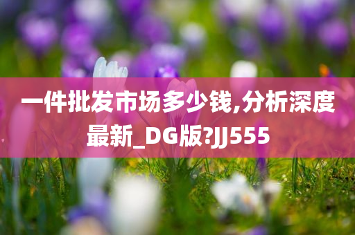 一件批发市场多少钱,分析深度最新_DG版?JJ555