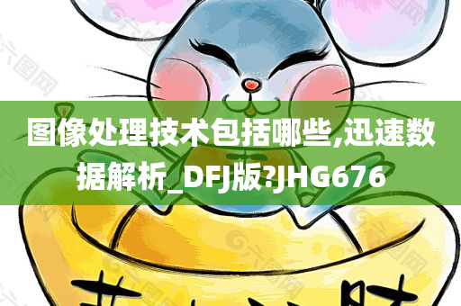 图像处理技术包括哪些,迅速数据解析_DFJ版?JHG676