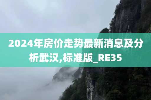 2024年房价走势最新消息及分析武汉,标准版_RE35