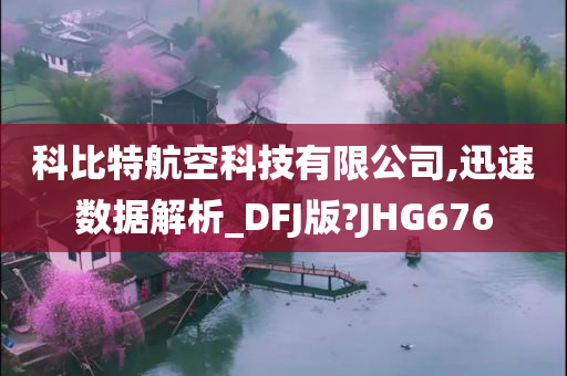 科比特航空科技有限公司,迅速数据解析_DFJ版?JHG676