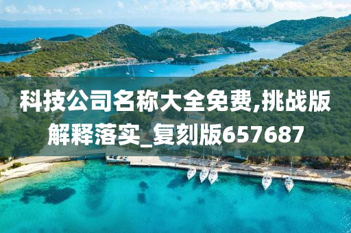 科技公司名称大全免费,挑战版解释落实_复刻版657687