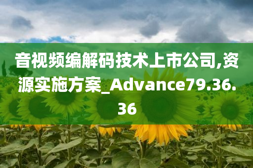 音视频编解码技术上市公司,资源实施方案_Advance79.36.36