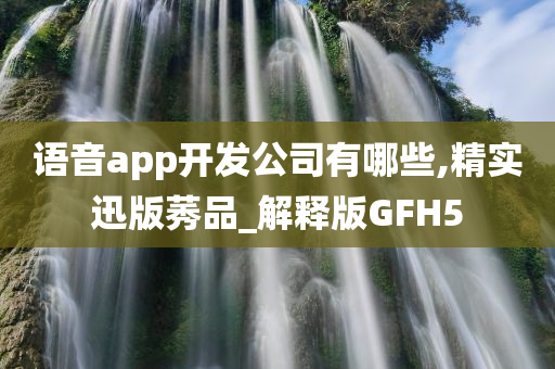 语音app开发公司有哪些,精实迅版莠品_解释版GFH5