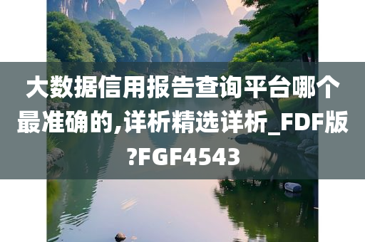 大数据信用报告查询平台哪个最准确的,详析精选详析_FDF版?FGF4543