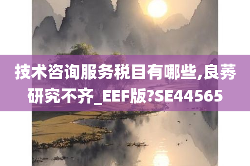 技术咨询服务税目有哪些,良莠研究不齐_EEF版?SE44565