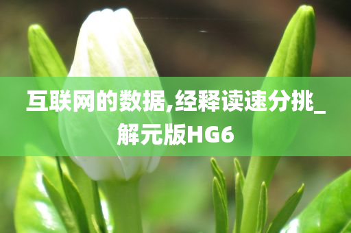 互联网的数据,经释读速分挑_解元版HG6