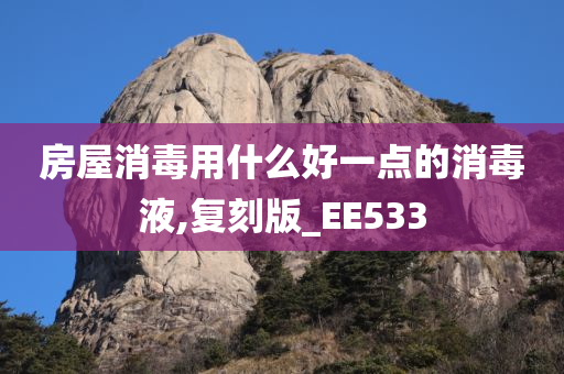 房屋消毒用什么好一点的消毒液,复刻版_EE533