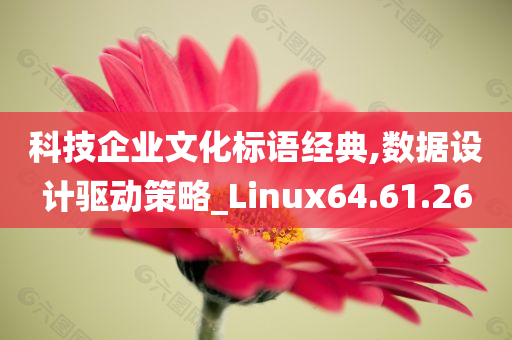 科技企业文化标语经典,数据设计驱动策略_Linux64.61.26