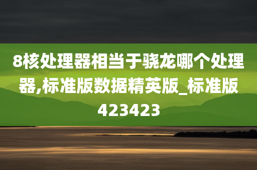 8核处理器相当于骁龙哪个处理器,标准版数据精英版_标准版423423