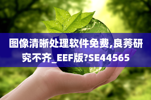 图像清晰处理软件免费,良莠研究不齐_EEF版?SE44565