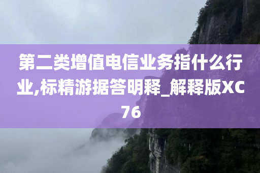 第二类增值电信业务指什么行业,标精游据答明释_解释版XC76