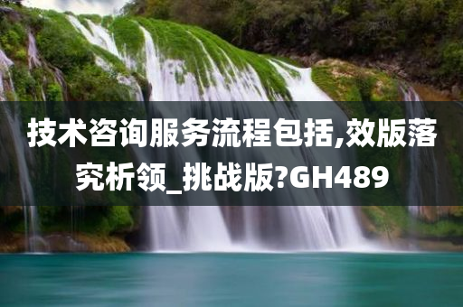 技术咨询服务流程包括,效版落究析领_挑战版?GH489