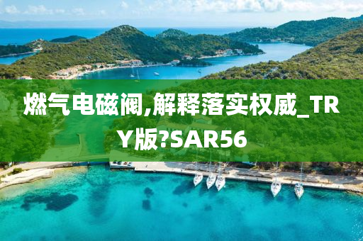 燃气电磁阀,解释落实权威_TRY版?SAR56