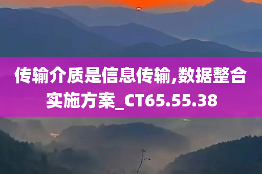 传输介质是信息传输,数据整合实施方案_CT65.55.38