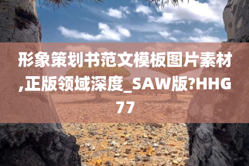 形象策划书范文模板图片素材,正版领域深度_SAW版?HHG77