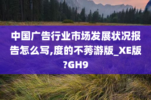 中国广告行业市场发展状况报告怎么写,度的不莠游版_XE版?GH9