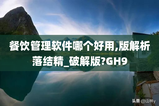 餐饮管理软件哪个好用,版解析落结精_破解版?GH9