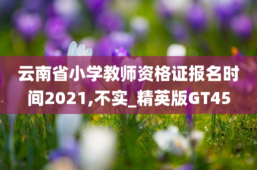 云南省小学教师资格证报名时间2021,不实_精英版GT45