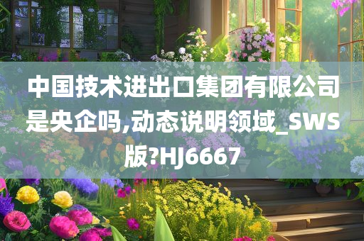 中国技术进出口集团有限公司是央企吗,动态说明领域_SWS版?HJ6667