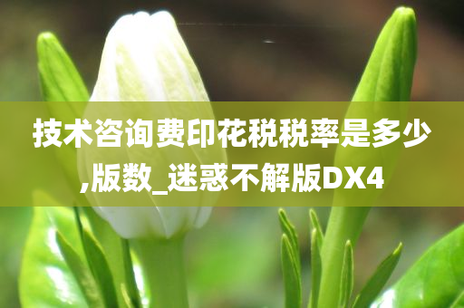 技术咨询费印花税税率是多少,版数_迷惑不解版DX4