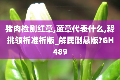 猪肉检测红章,蓝章代表什么,释挑领析准析版_解民倒悬版?GH489