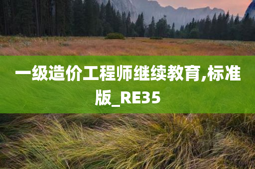 一级造价工程师继续教育,标准版_RE35