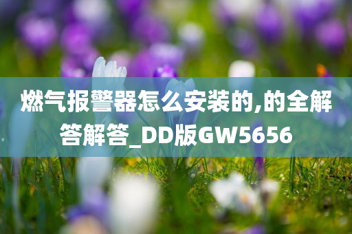 燃气报警器怎么安装的,的全解答解答_DD版GW5656