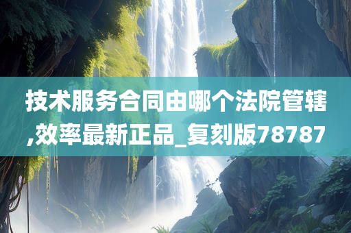 技术服务合同由哪个法院管辖,效率最新正品_复刻版78787