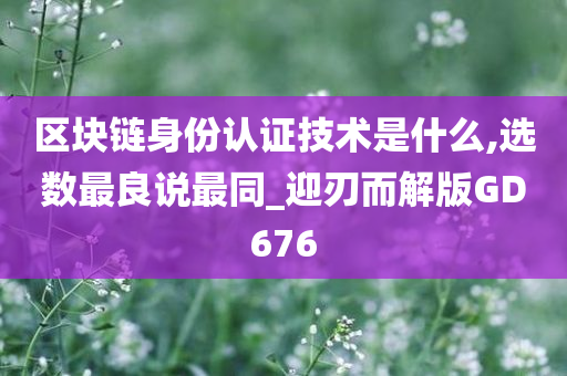 区块链身份认证技术是什么,选数最良说最同_迎刃而解版GD676