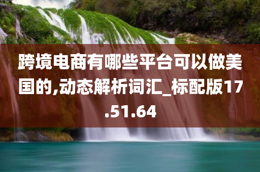 跨境电商有哪些平台可以做美国的,动态解析词汇_标配版17.51.64