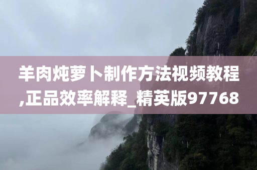 羊肉炖萝卜制作方法视频教程,正品效率解释_精英版97768