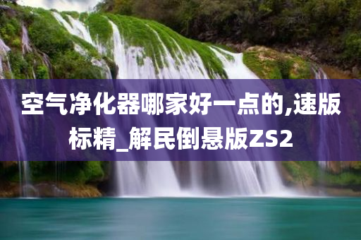 空气净化器哪家好一点的,速版标精_解民倒悬版ZS2